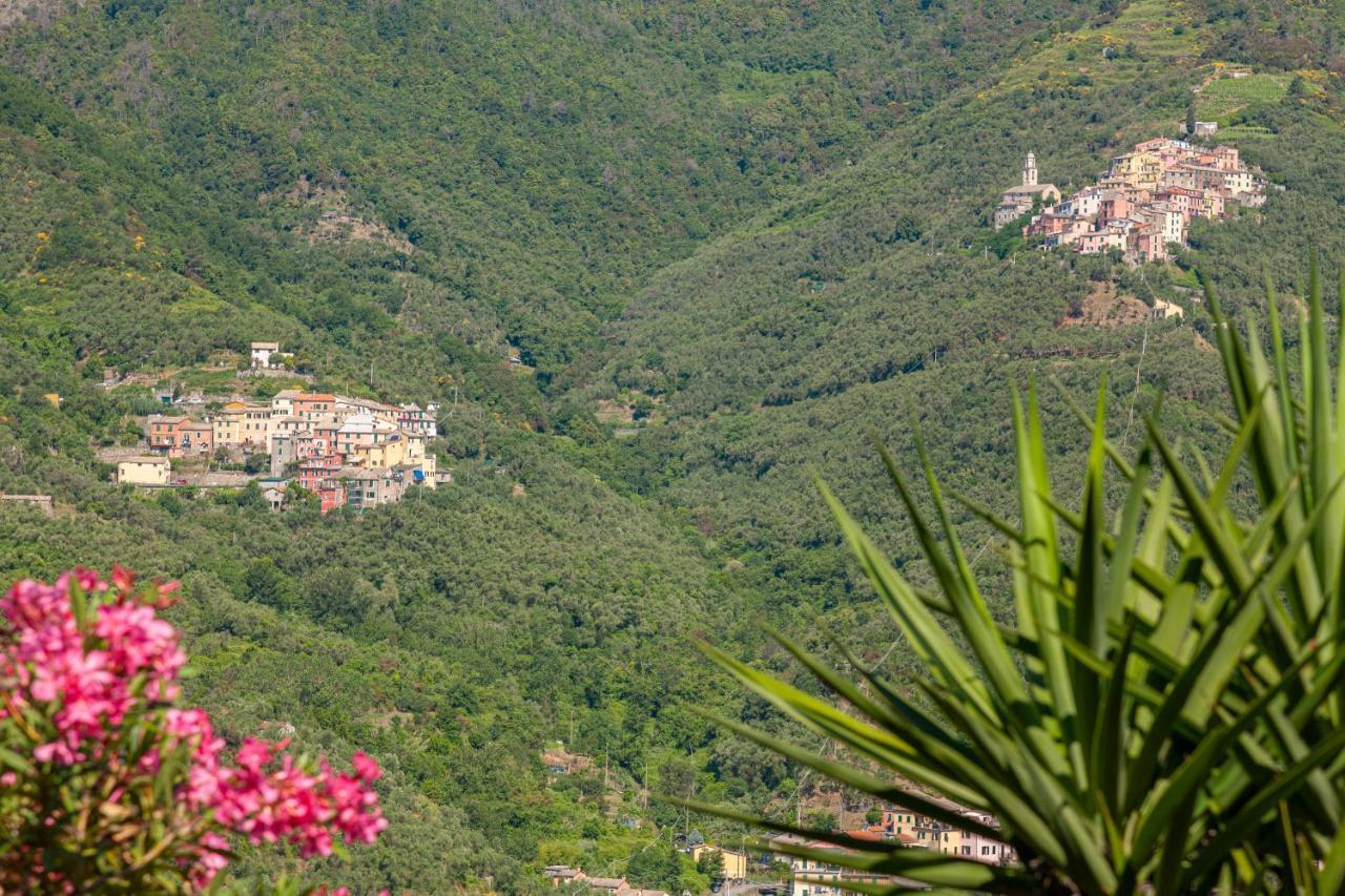 Villa Dell'Erta - Levanto Montale  Exteriér fotografie