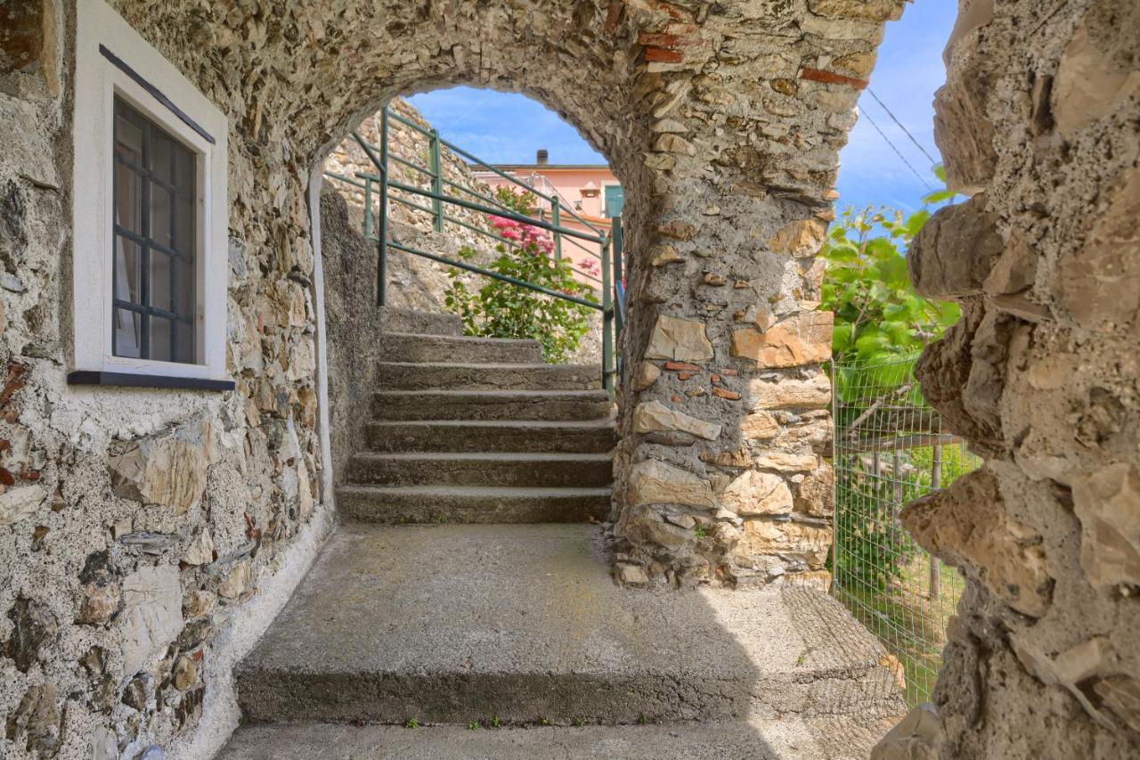 Villa Dell'Erta - Levanto Montale  Exteriér fotografie