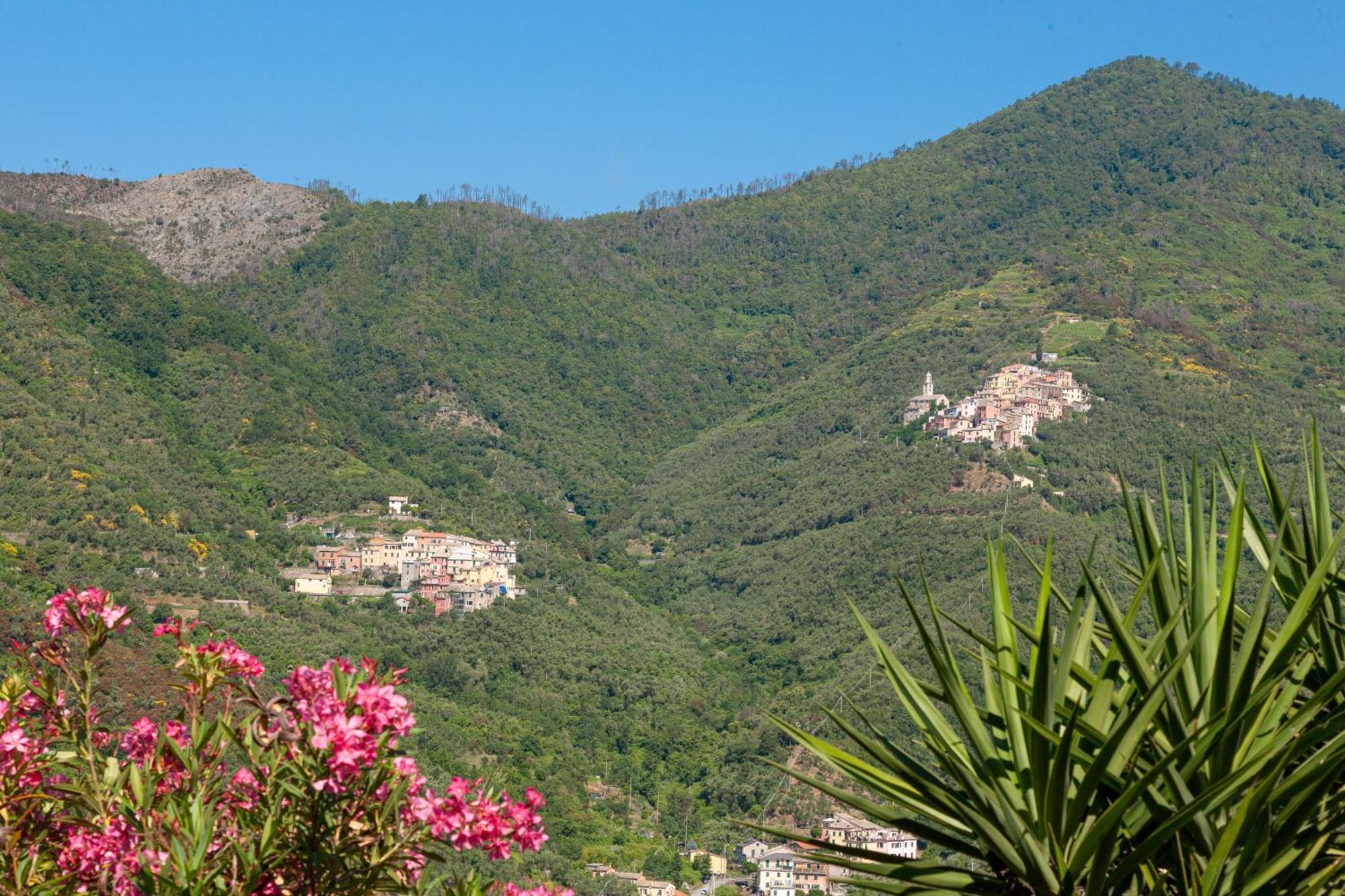 Villa Dell'Erta - Levanto Montale  Exteriér fotografie